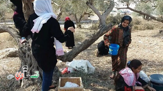 فيديو: طلاب وطالبات مدرسة جنة ابن رشد يُجسدون احداث مجزرة كفرقاسم على ارض الواقع من خلال فيلم وثائقي 